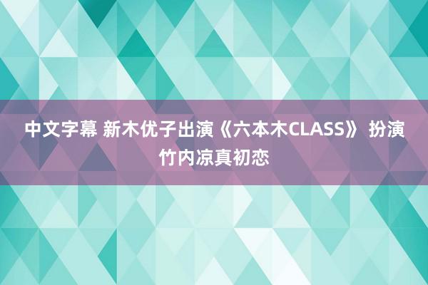 中文字幕 新木优子出演《六本木CLASS》 扮演竹内凉真初恋