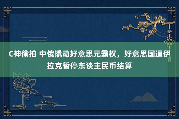 C神偷拍 中俄撬动好意思元霸权，好意思国逼伊拉克暂停东谈主民币结算