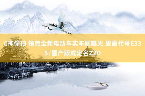 C神偷拍 领克全新电动车实车图曝光 里面代号E335/量产版或定名Z20