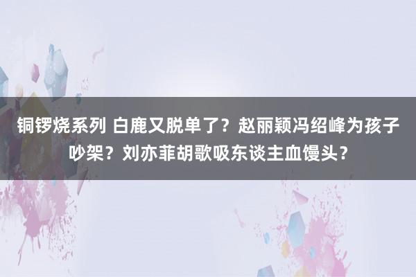 铜锣烧系列 白鹿又脱单了？赵丽颖冯绍峰为孩子吵架？刘亦菲胡歌吸东谈主血馒头？