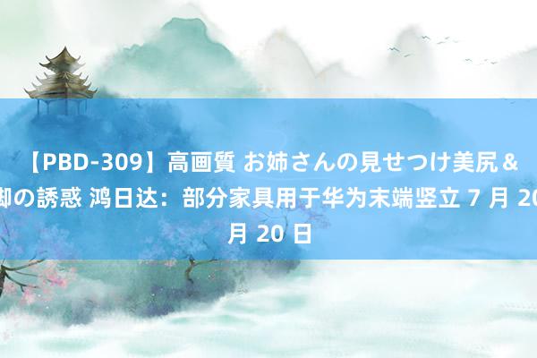 【PBD-309】高画質 お姉さんの見せつけ美尻＆美脚の誘惑 鸿日达：部分家具用于华为末端竖立 7 月 20 日