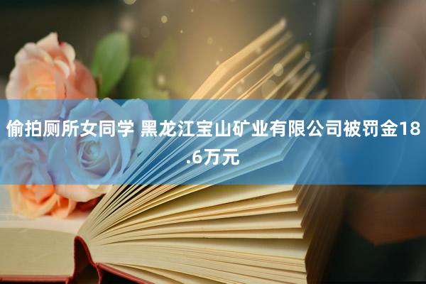 偷拍厕所女同学 黑龙江宝山矿业有限公司被罚金18.6万元