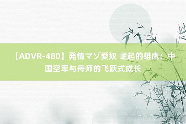 【ADVR-480】発情マゾ愛奴 崛起的雄鹰：中国空军与舟师的飞跃式成长