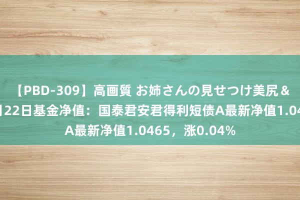 【PBD-309】高画質 お姉さんの見せつけ美尻＆美脚の誘惑 7月22日基金净值：国泰君安君得利短债A最新净值1.0465，涨0.04%