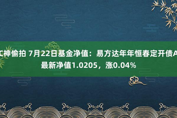 C神偷拍 7月22日基金净值：易方达年年恒春定开债A最新净值1.0205，涨0.04%