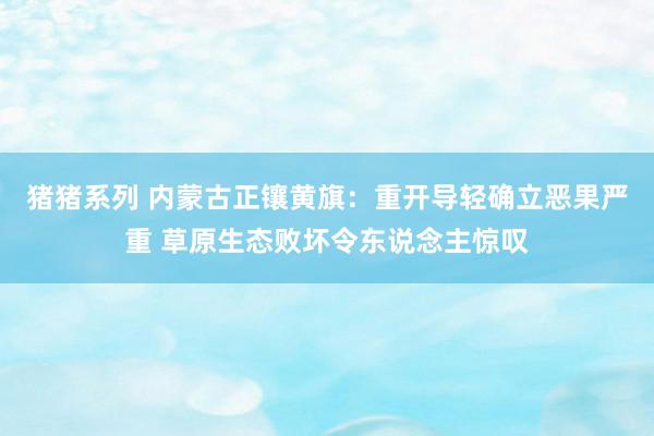 猪猪系列 内蒙古正镶黄旗：重开导轻确立恶果严重 草原生态败坏令东说念主惊叹