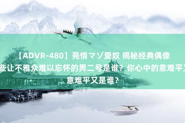 【ADVR-480】発情マゾ愛奴 揭秘经典偶像剧：那些让不雅众难以忘怀的男二号是谁？你心中的意难平又是谁？