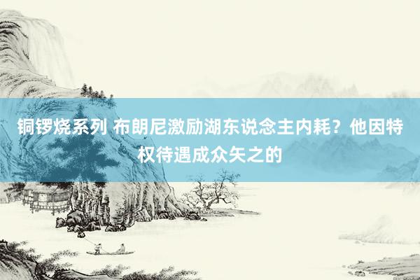 铜锣烧系列 布朗尼激励湖东说念主内耗？他因特权待遇成众矢之的