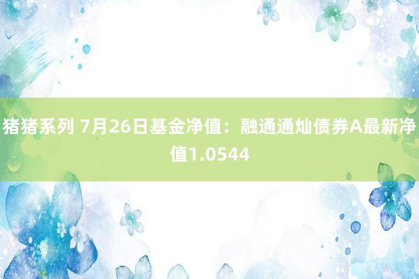 猪猪系列 7月26日基金净值：融通通灿债券A最新净值1.0544