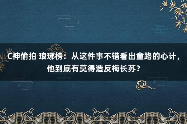 C神偷拍 琅琊榜：从这件事不错看出童路的心计，他到底有莫得造反梅长苏？