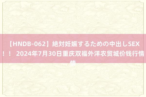 【HNDB-062】絶対妊娠するための中出しSEX！！ 2024年7月30日重庆双福外洋农贸城价钱行情