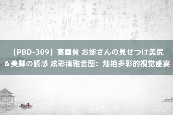 【PBD-309】高画質 お姉さんの見せつけ美尻＆美脚の誘惑 炫彩清雅套图：灿艳多彩的视觉盛宴