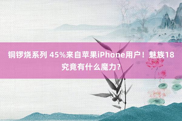 铜锣烧系列 45%来自苹果iPhone用户！魅族18究竟有什么魔力？