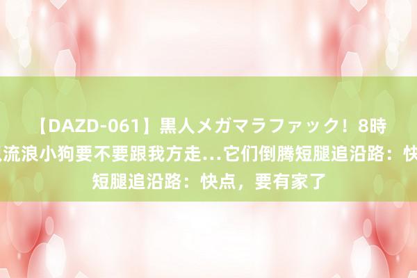 【DAZD-061】黒人メガマラファック！8時間 妹子问两只流浪小狗要不要跟我方走…它们倒腾短腿追沿路：快点，要有家了