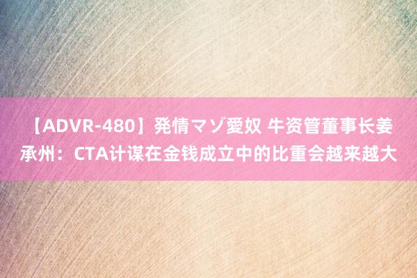 【ADVR-480】発情マゾ愛奴 牛资管董事长姜承州：CTA计谋在金钱成立中的比重会越来越大