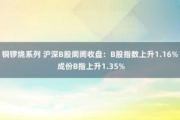 铜锣烧系列 沪深B股阛阓收盘：B股指数上升1.16% 成份B指上升1.35%