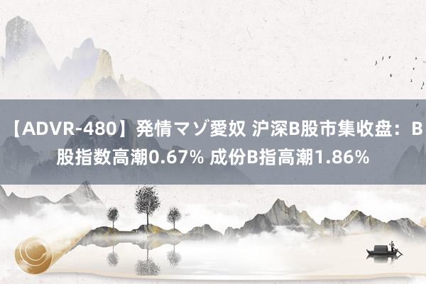 【ADVR-480】発情マゾ愛奴 沪深B股市集收盘：B股指数高潮0.67% 成份B指高潮1.86%