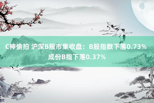 C神偷拍 沪深B股市集收盘：B股指数下落0.73% 成份B指下落0.37%