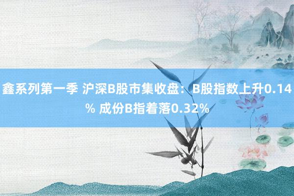 鑫系列第一季 沪深B股市集收盘：B股指数上升0.14% 成份B指着落0.32%