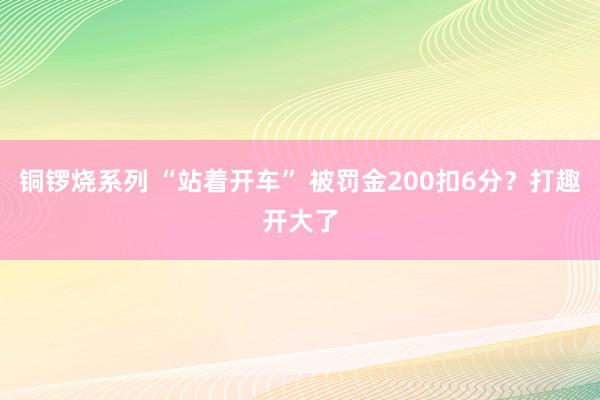 铜锣烧系列 “站着开车” 被罚金200扣6分？打趣开大了