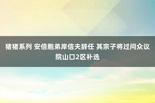 猪猪系列 安倍胞弟岸信夫辞任 其宗子将过问众议院山口2区补选