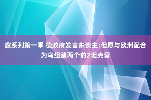 鑫系列第一季 德政府发言东谈主:但愿与欧洲配合为乌组建两个豹2坦克营