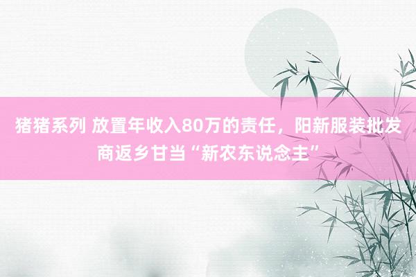 猪猪系列 放置年收入80万的责任，阳新服装批发商返乡甘当“新农东说念主”