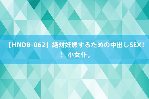 【HNDB-062】絶対妊娠するための中出しSEX！！ 小女仆。