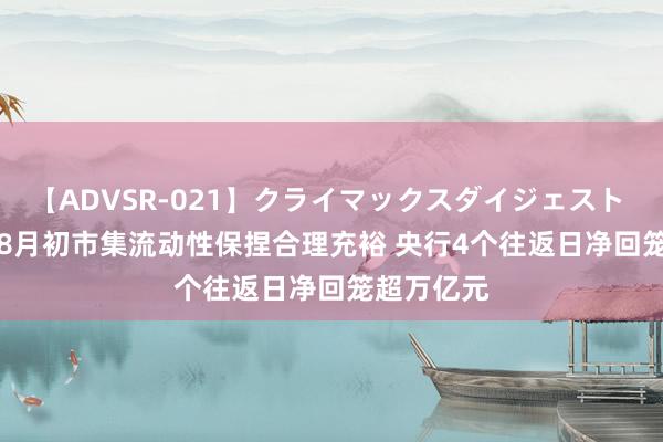 【ADVSR-021】クライマックスダイジェスト 姦鬼 ’10 8月初市集流动性保捏合理充裕 央行4个往返日净回笼超万亿元