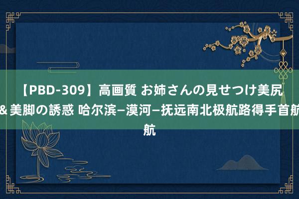 【PBD-309】高画質 お姉さんの見せつけ美尻＆美脚の誘惑 哈尔滨—漠河—抚远南北极航路得手首航