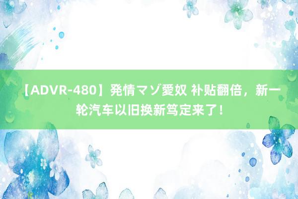 【ADVR-480】発情マゾ愛奴 补贴翻倍，新一轮汽车以旧换新笃定来了！