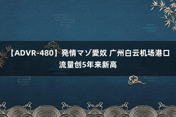 【ADVR-480】発情マゾ愛奴 广州白云机场港口流量创5年来新高