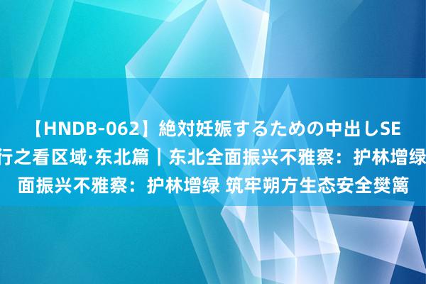 【HNDB-062】絶対妊娠するための中出しSEX！！ 新期间中国调研行之看区域·东北篇｜东北全面振兴不雅察：护林增绿 筑牢朔方生态安全樊篱