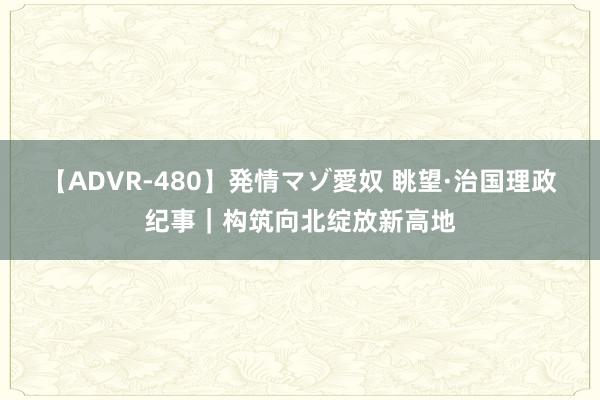 【ADVR-480】発情マゾ愛奴 眺望·治国理政纪事｜构筑向北绽放新高地