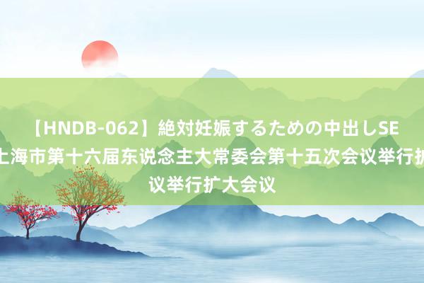 【HNDB-062】絶対妊娠するための中出しSEX！！ 上海市第十六届东说念主大常委会第十五次会议举行扩大会议