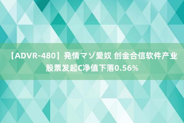 【ADVR-480】発情マゾ愛奴 创金合信软件产业股票发起C净值下落0.56%