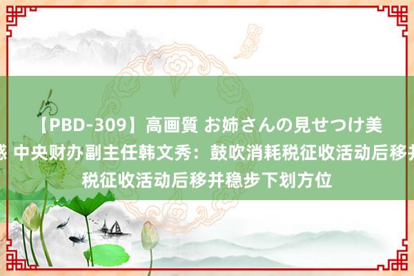 【PBD-309】高画質 お姉さんの見せつけ美尻＆美脚の誘惑 中央财办副主任韩文秀：鼓吹消耗税征收活动后移并稳步下划方位