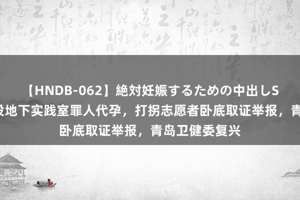 【HNDB-062】絶対妊娠するための中出しSEX！！ 公司设地下实践室罪人代孕，打拐志愿者卧底取证举报，青岛卫健委复兴