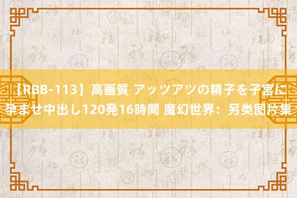 【RBB-113】高画質 アッツアツの精子を子宮に孕ませ中出し120発16時間 魔幻世界：另类图片集